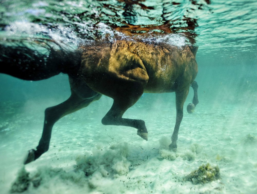 IMAGE CREDIT: Kurt Arrigo