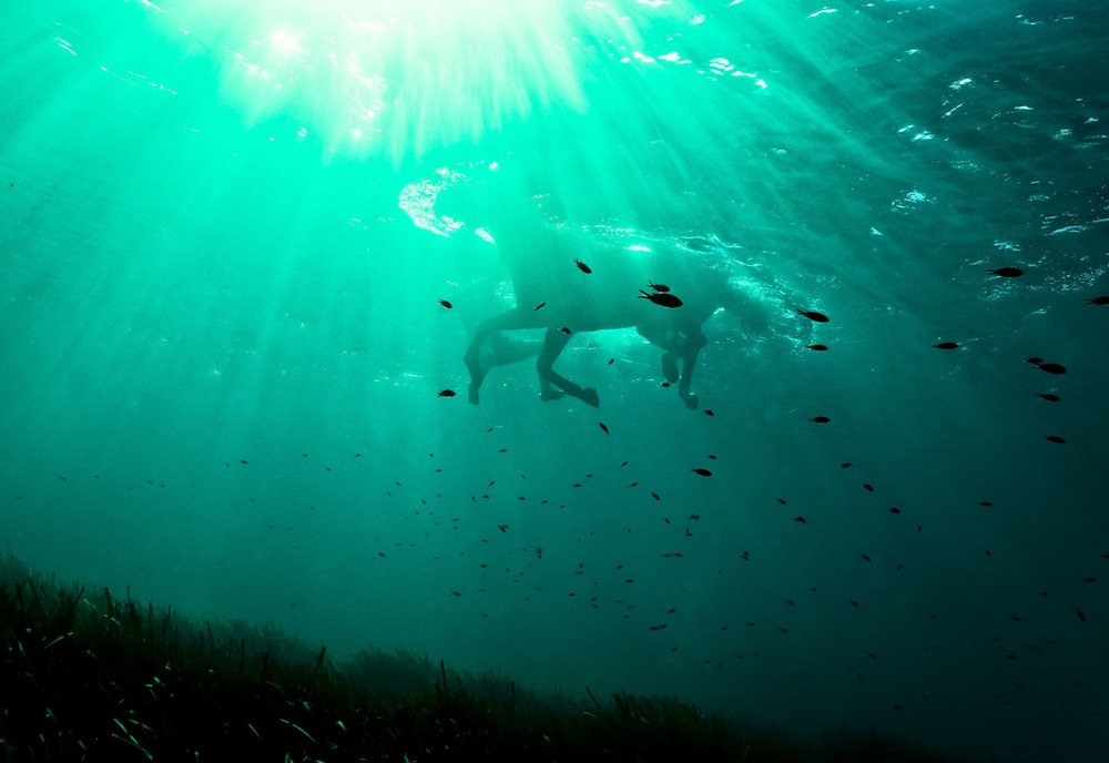 Фотограф Kurt Arrigo