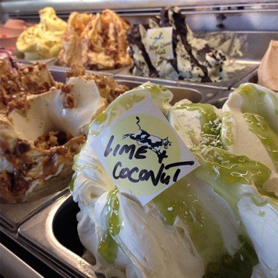 cowandthemoon-citizens-of-the-world-instagram cowandthemoon-citizens-of-the-world-instagram